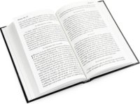 Neues Testament (Dan)